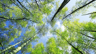 gsk-adobestock-259369090.jpg