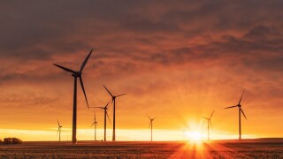 Taxpayers can expect the price of carbon to rise