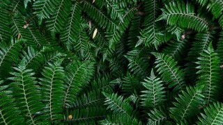 Colombia should build on international experiences