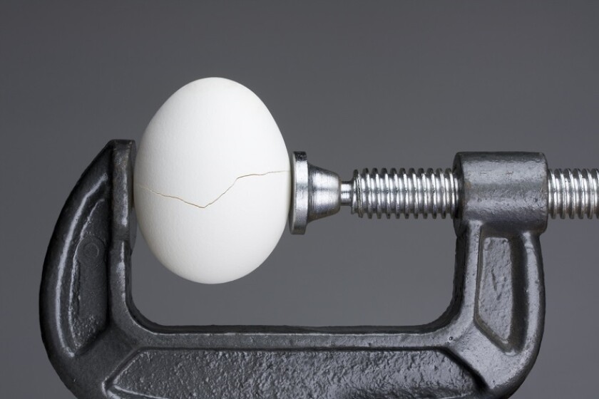 egg