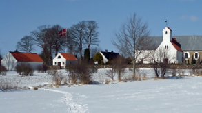 Snowy Danish countryside