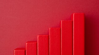 zeya-adobestock-379639460.jpg