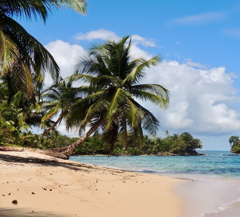 The Panamanian tax authority introduced diverse measures between 2020 and 2021