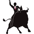 bull.jpg