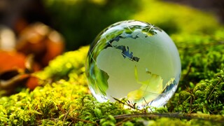 editorial-adobestock-321944790.jpg