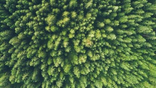 john-o-nolan-umwprcrsrto-unsplash.jpg