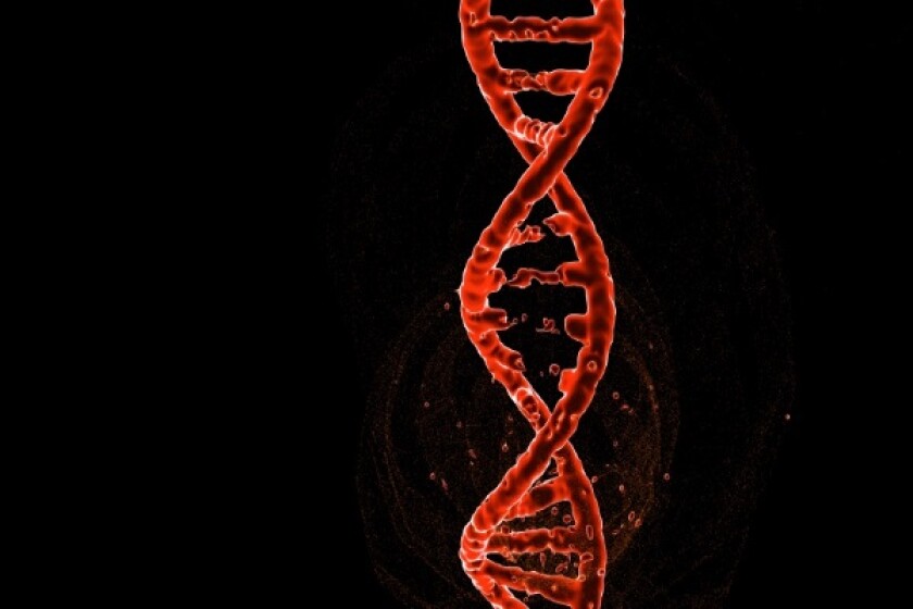 crispr-plants600.jpg