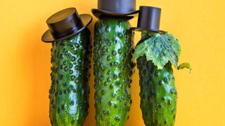 family-enterprises.jpg