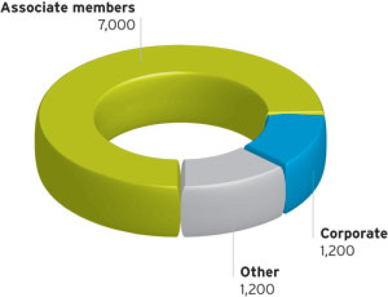 chart1.jpg