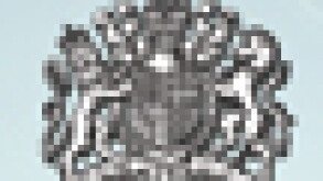 covwer-puff.jpg
