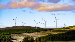 windmills.jpeg