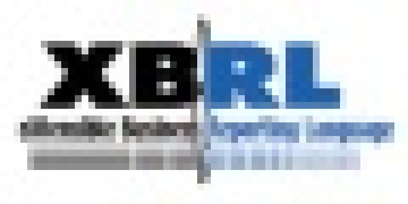 xbrl-logo.jpg