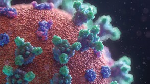 The virus that changed tax