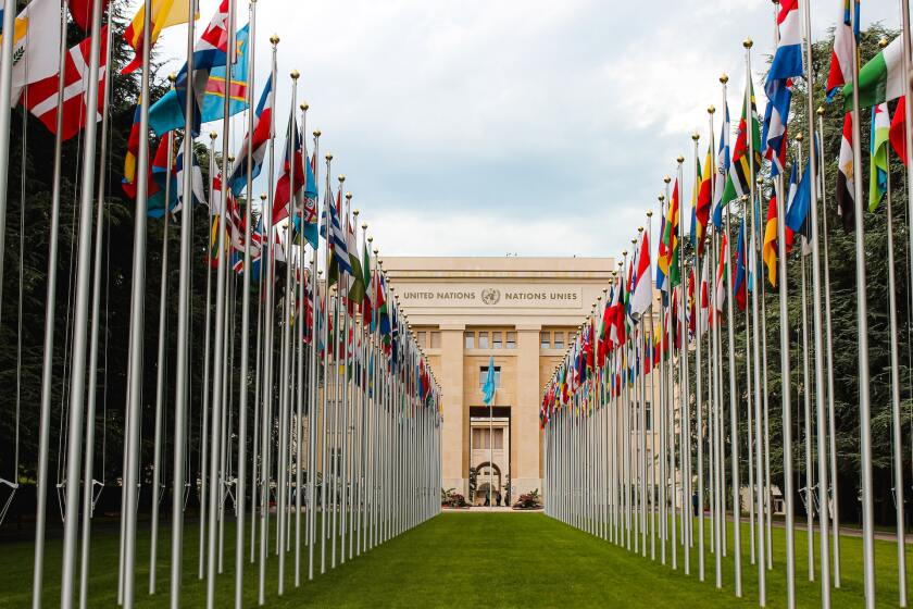 UN - OECD 2.jpg
