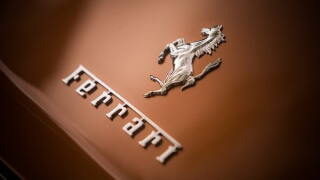 ferrari-comp.jpg