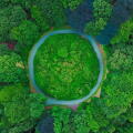 greennnnnn.jpg
