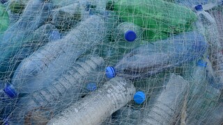plastic-bottles-388679.jpg