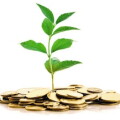 seedling1.jpg