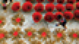 ip