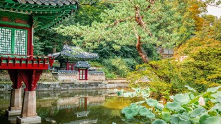 jipyong-adobestock-297828787.jpg