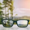 Tax administrations and taxpayers have different perspectives when looking through the tax transparency lens