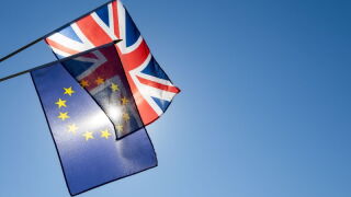brexitflags.jpeg