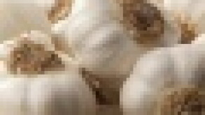 garlic.jpg
