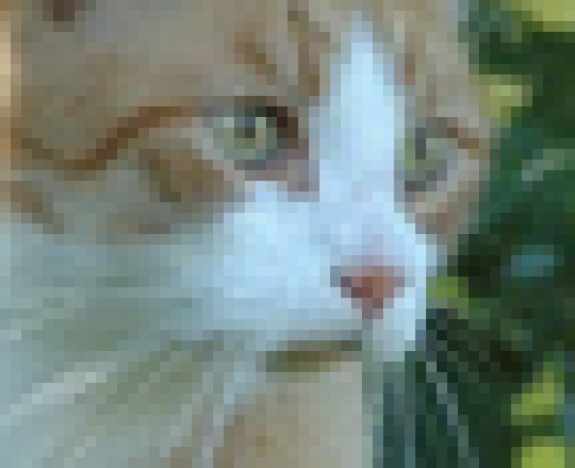 cesr-puff.jpg