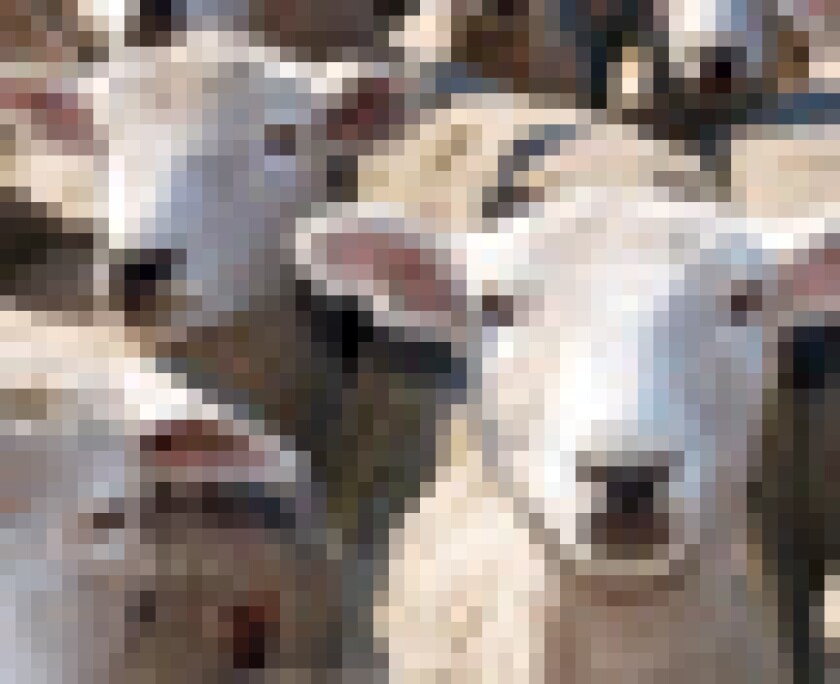 equity-puff.jpg