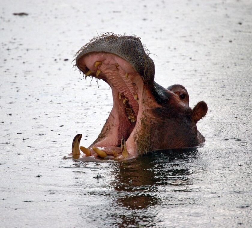 US Treasury threatens foreign companies with reforms