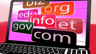 Domains On Laptop Shows Web Searching