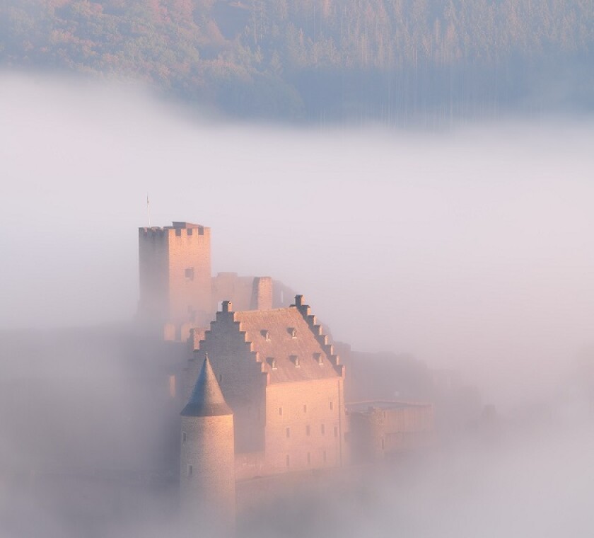 VAT for financial services The necessary move from IGP to the VAT unity regime