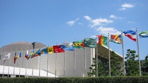 Picture of UN flags