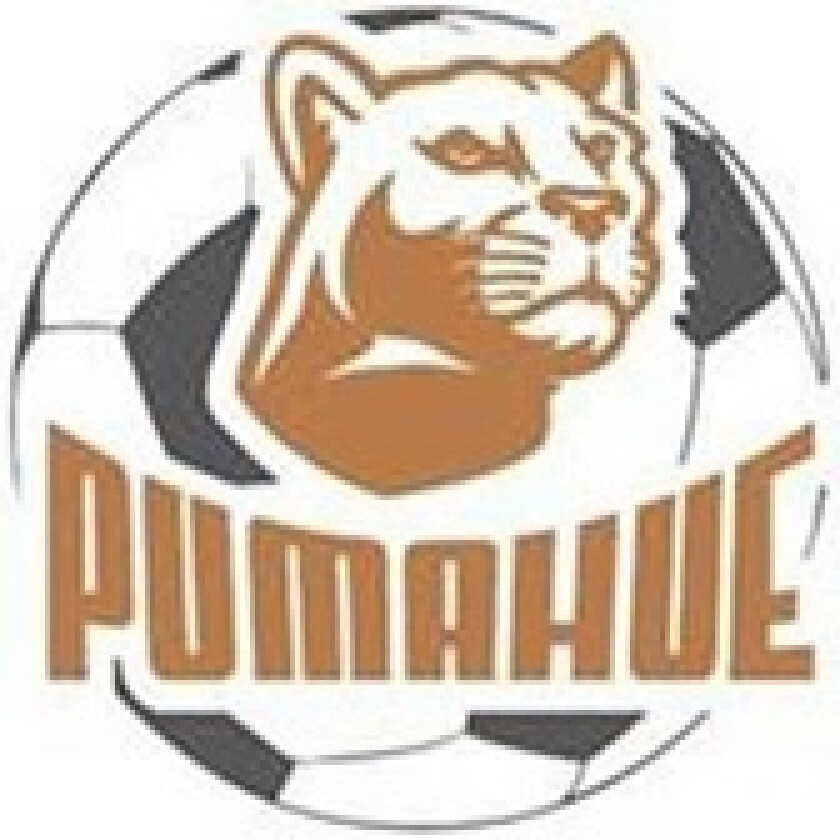 Pumahue 168