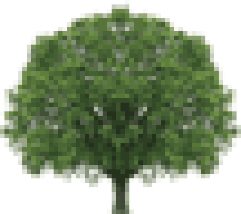 tree-puff.gif