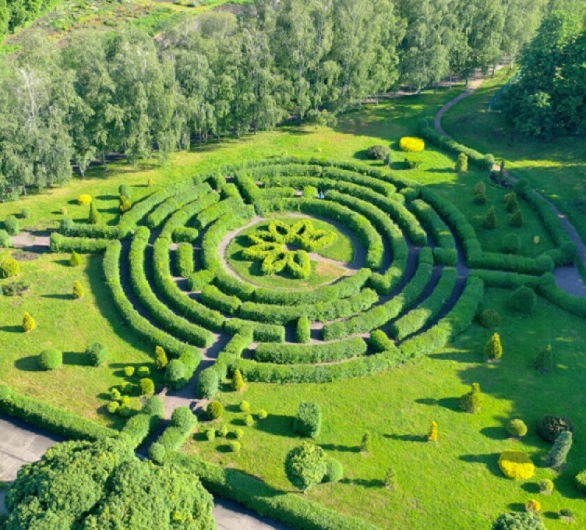 MNEs need the support of company leaders, and of EU and UK authorities, as the Brexit deadline approaches