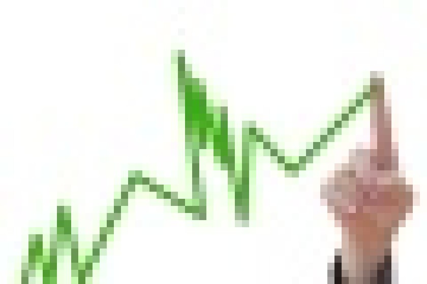 graph.jpg