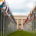UN - OECD 2.jpg