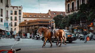 madrid.jpg