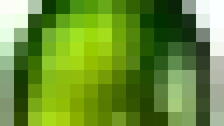 schtop-1small.jpg