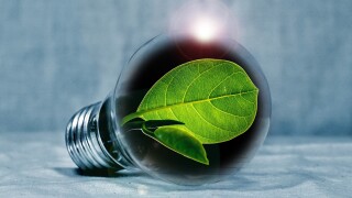 lightbulb-2631864.jpg