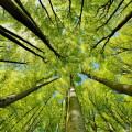 Tax is advancing ESG outcomes at Uber and other large businesses