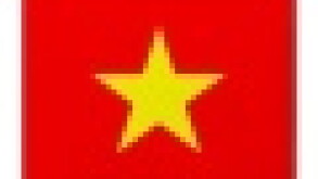 vietnam-flag.jpg