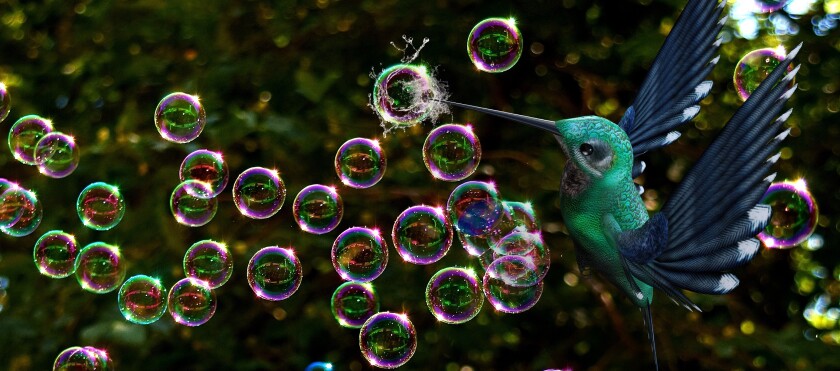 soap-bubbles-3550705.jpg