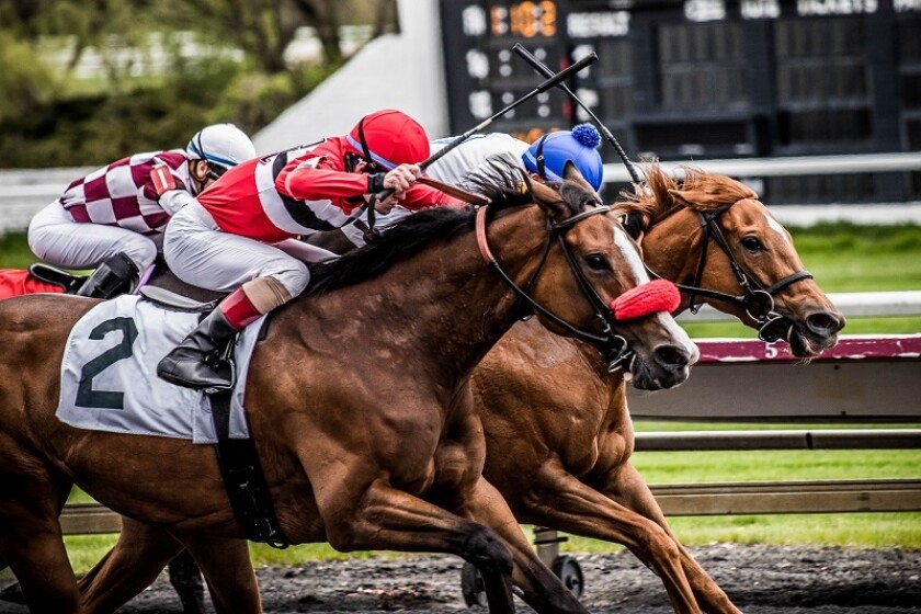 horseraceCSR