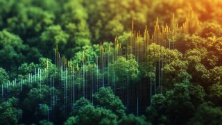 A lush forest sprouting from a stock market graph, Nature and finance, carbon credit growth