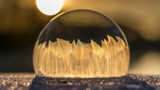 The importance of fairness and efficiency of the tax system has been in discussion post the COVID-19 outbreak