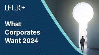 What-Corporates-Want-2024-banner-no-text-iflr 1.png