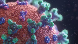 The virus that changed tax