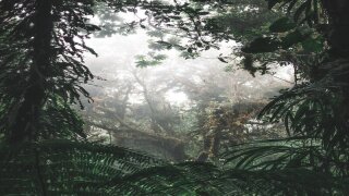 jan-kronies-K-x7h4NXtAY-unsplash-4 (2).jpg